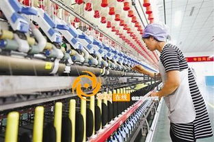 宁夏丰源纺织20万锭纺纱项目填补固原棉纺织产业空白
