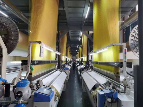 中国纺织集群向世界级新高地迈进